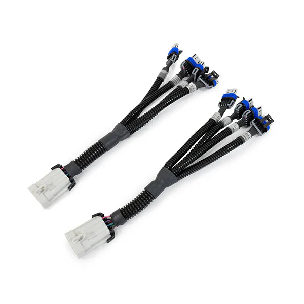 LS Coil Harness